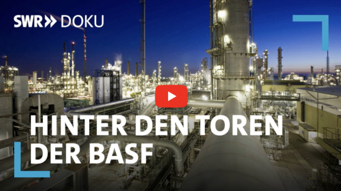 MRN/Frankenthal: BASF plant 120 Hektar großen Mega-Solarpark